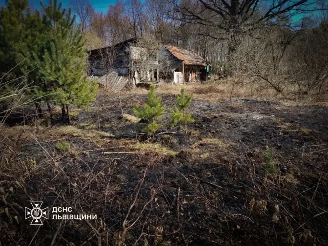 На Львівщині жінка отримала опіки намагаючись загасити підпал сухостою