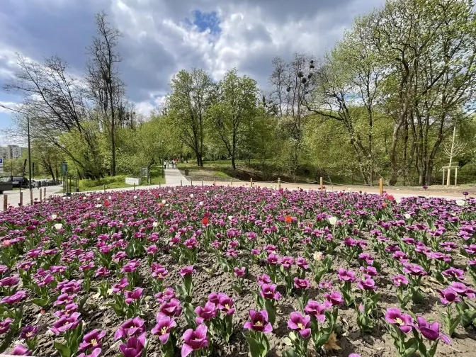 Фото: управління екології Львова
