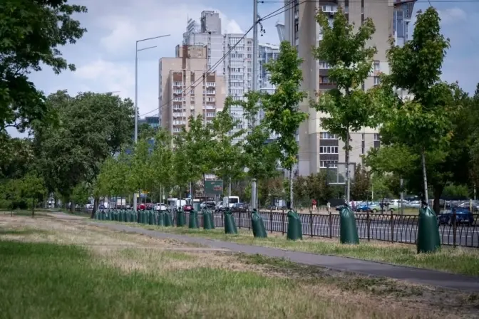 У Києві продовжують встановлювати торби для поливу дерев
