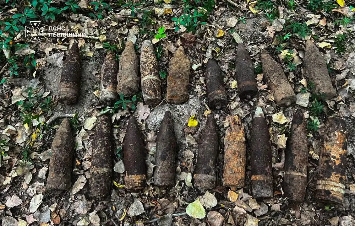 18 снарядів часів ІІ світової війни  знайшов грибник у лісі на Шептиччині