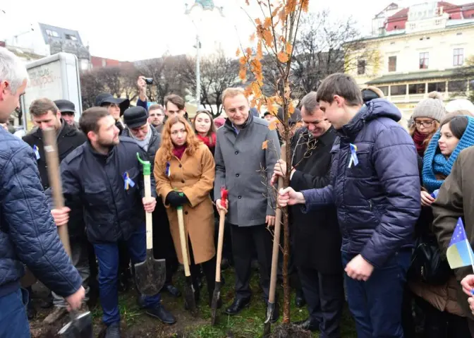 У центрі Львова висадили дуб. Фото