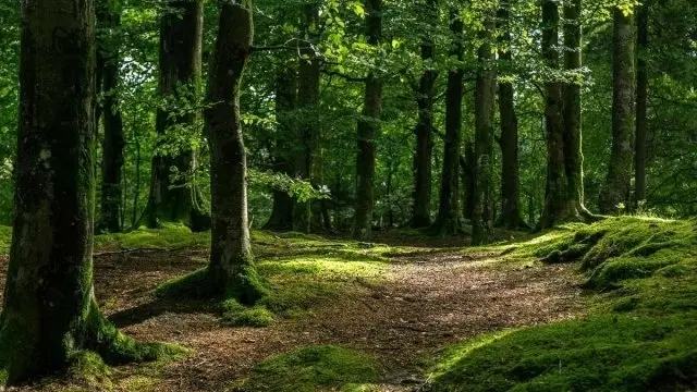 Умовне фото