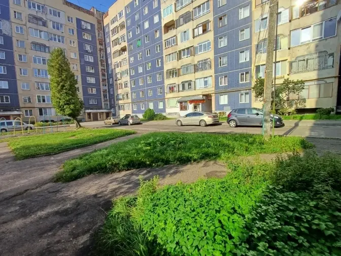 фото: ЛМР. ділянка, поруч з якою мала б перебувати автомийка