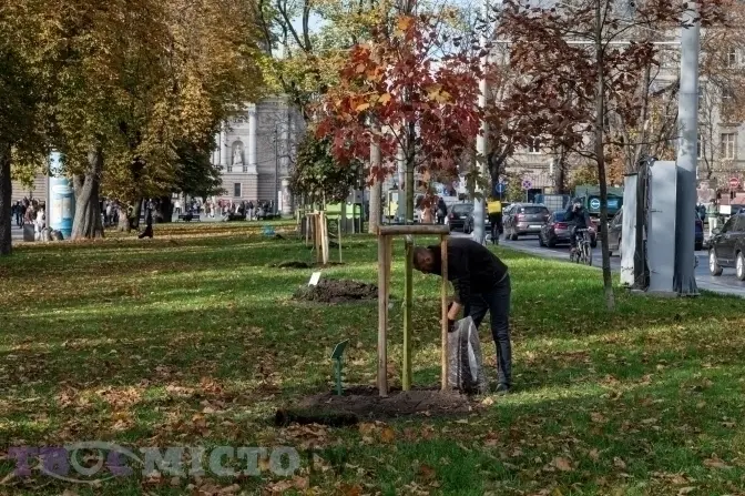 У Львові під час акції «Подаруй місту дерево» висадили рекордну кількість дерев і кущів: скільки та яких