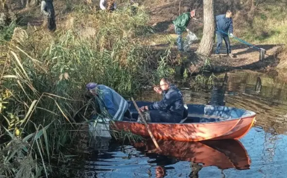 В озері Алмазне, де загинула риба, виявили труби невідомого походження