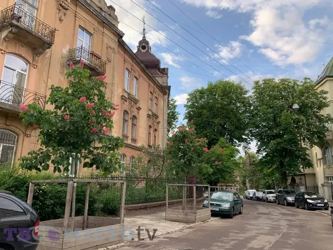 У Львові зацвіли каштани. Фото дня