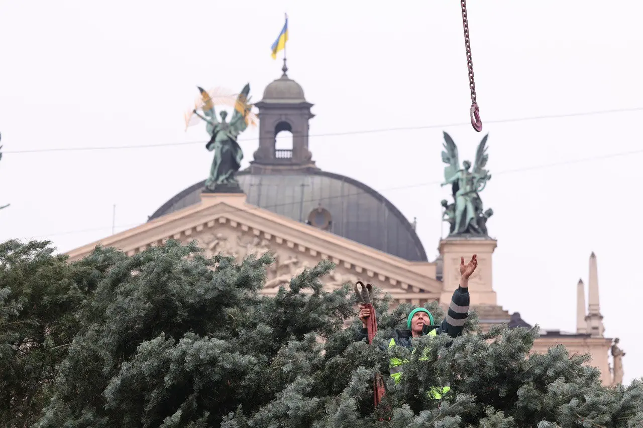У Львові встановили головну Різдвяну ялинку. Фото