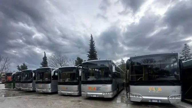 Фото: ЛМР
