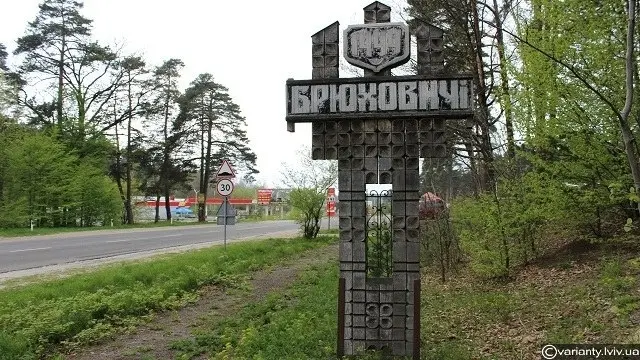 Брюховичі просять Кабмін дозволити їм створити власну ОТГ