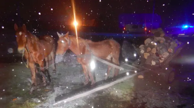 фото поліції львівської області