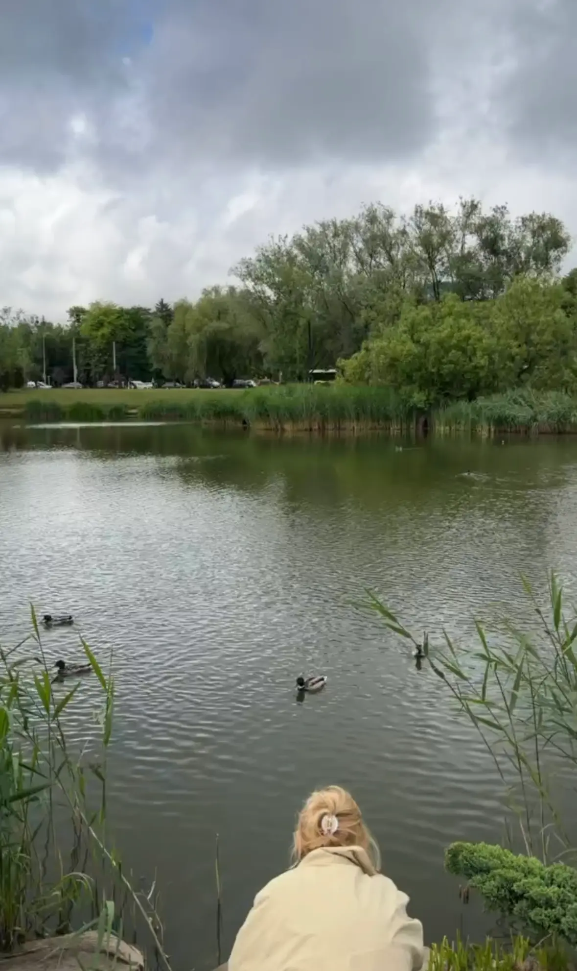 Скриншот із відео. Duck’s Lake, 2 червня