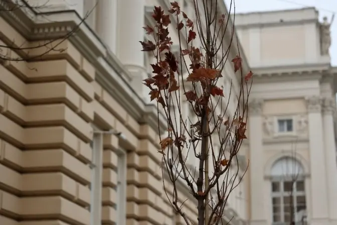 фото Романа Балука для ЛМР