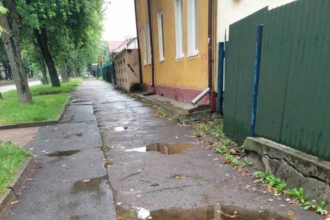 фото: лмр
