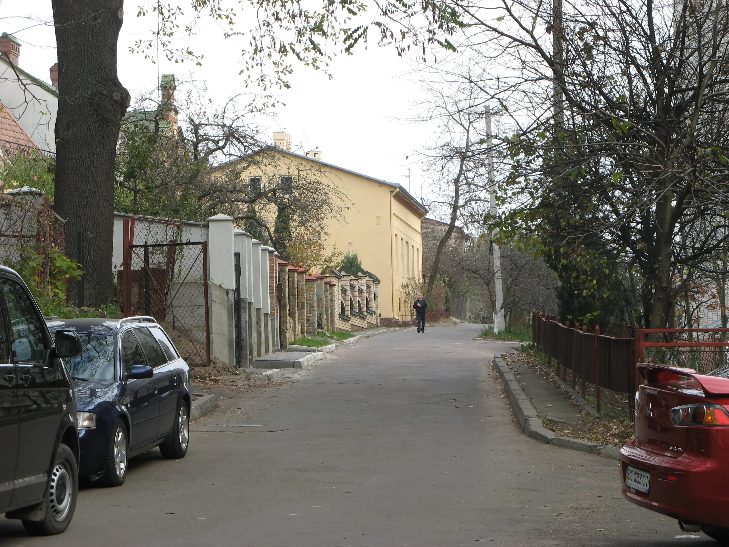 Вул. Воробкевича / Фото з Вікіпедії