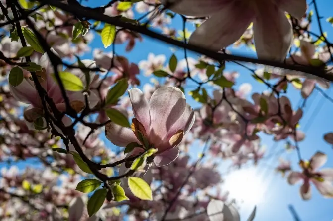 Потепління до +23°. Якою буде погода на вихідних у Львові