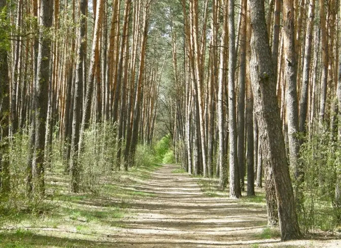 фото умовне
