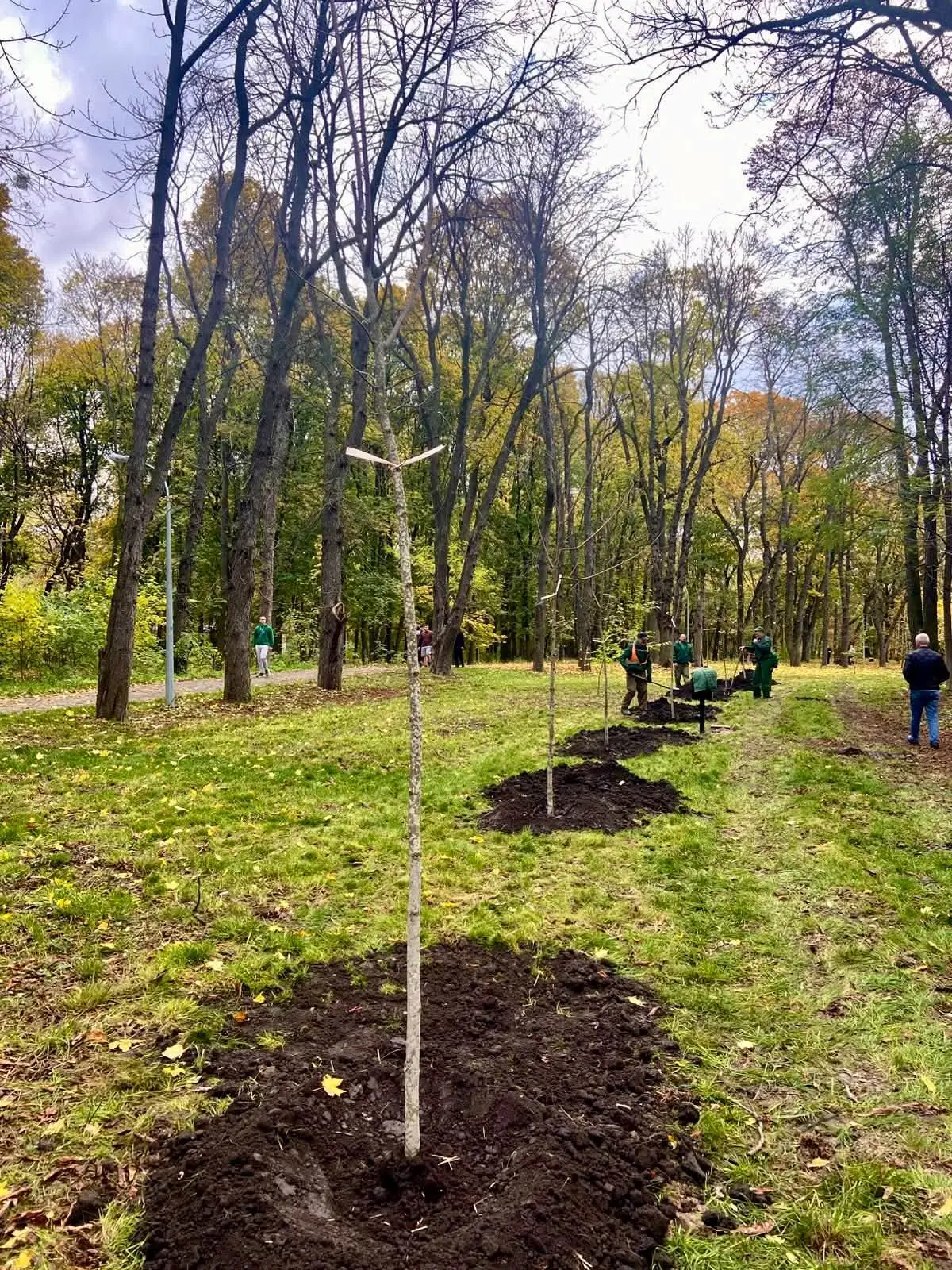Фото: Київзеленбуд