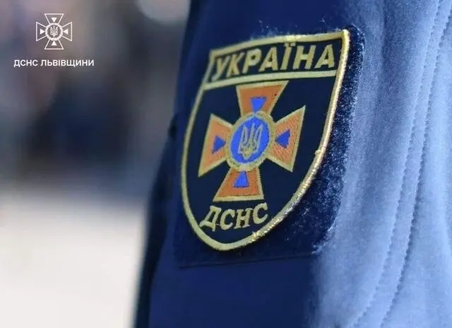 фото: дснс