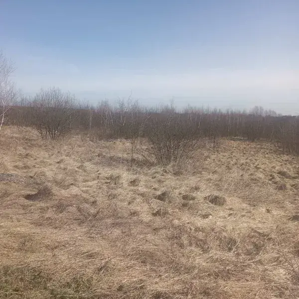 Земельна ділянка за межами м. Комарно / фото: Prozzoro