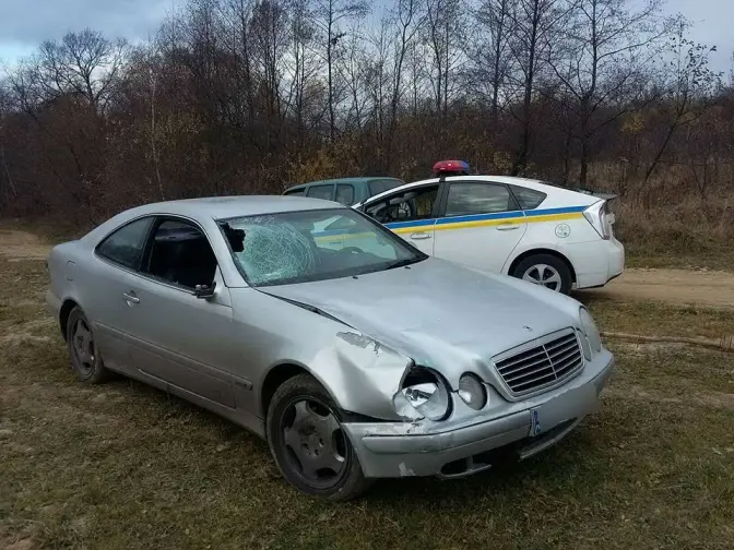Львів’ян просять допомогти у пошуку водія-втікача