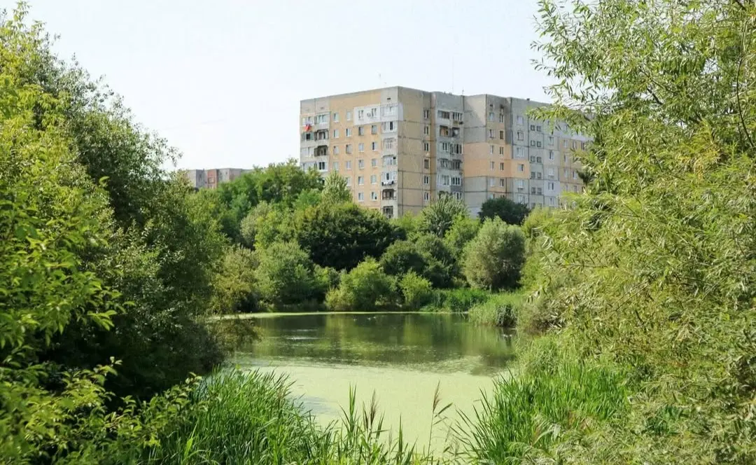 У Львові проведуть весняну толоку біля ставків у Козельниках