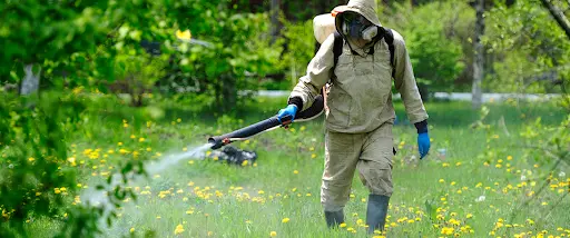 У львівських парках розпочнуть обробку від кліщів. Графік