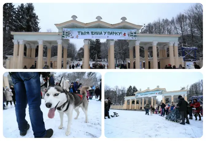Маленьких львів’ян кататимуть у собачій упряжці