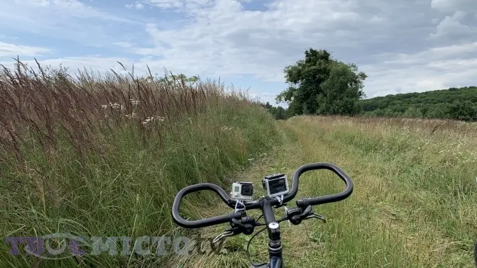 Фото:  Дарії Кучер