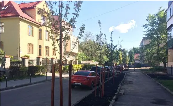 На вулиці Квітневій у Львові висадили 22 дерева. Фото
