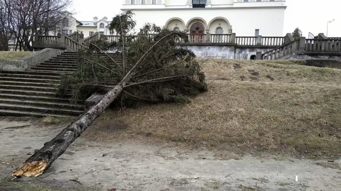 Львів’ян знову попереджають про сильний вітер та ожеледицю