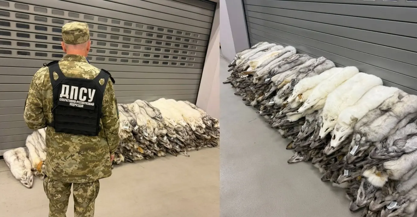На львівському кордоні зупинили автобус із елітним контрабандним хутром / фото прикордонників
