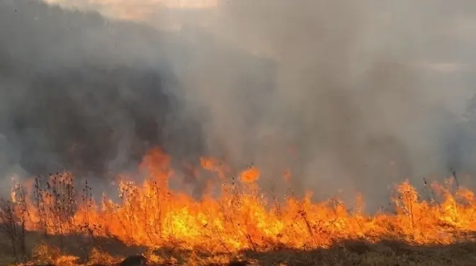 У Києві та області попереджають про надзвичайну пожежну небезпеку