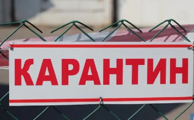 Через пташиний грип у лебедя у деяких населених пунктах Шептицького району оголосили карантин