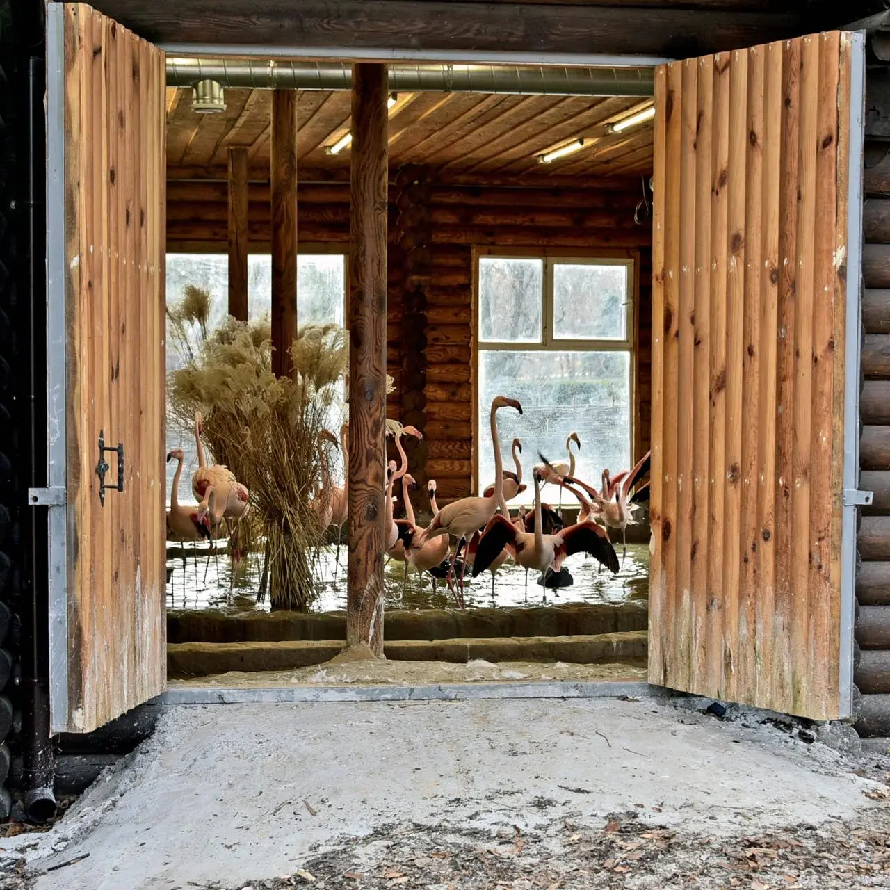 Фото: КМДА
