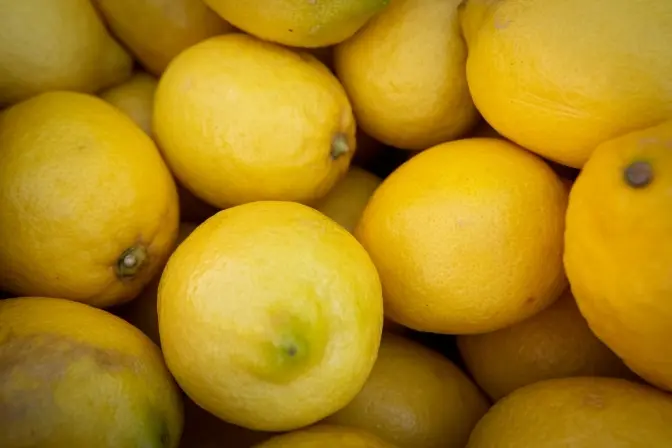 У Києві відбудуться продуктові сільськогосподарські ярмарки: перелік локацій