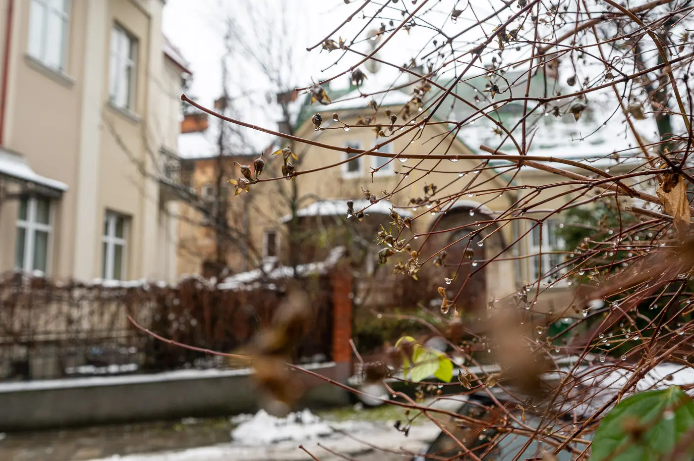 Тут чимало будинків – пам’яток архітектури. Чим дивує вулиця Кардинала Гузара у Львові