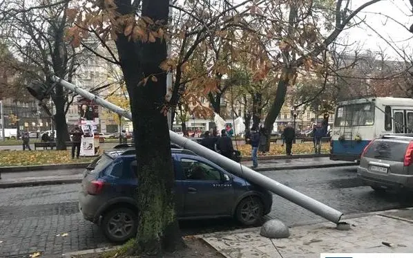 У центрі Львова на авто впала опора