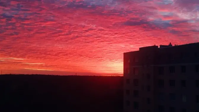 Нові Covid-правила у транспорті та нове будівництво у Львові. Головне за добу