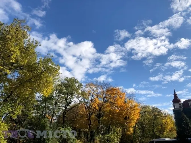 Червона зона на Львівщині та обов’язкове ЗНО з математики. Головне