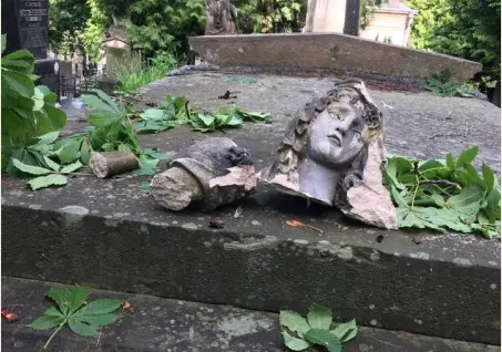 Фото: Лілія Онищенко