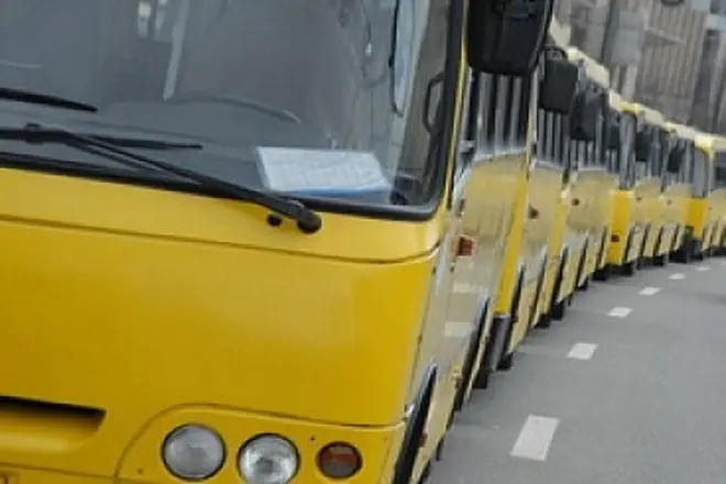Львів’ян запрошують на слухання щодо вартості проїзду