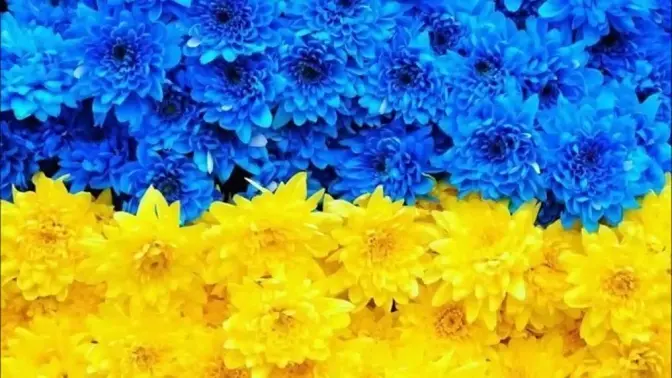 За приниження української мови хочуть ввести кримінальну відповідальність
