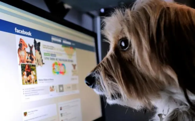 Як правильно користуватися Facebook. Річна інструкція з гумором
