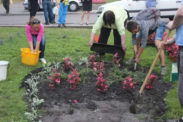 Літнього майданчика на вул. Тершаковців у Львові не буде