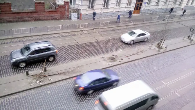 У Львові понищили сакури та платани, які висадили львів'яни . Відео