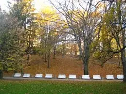У Львові спорудять алею спортивної слави