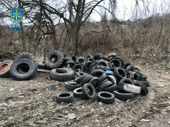 Сміттєзвалище в київському парку "Проня Балка" приберуть