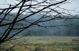 Завтра у Львові буде тепло і дощитиме
