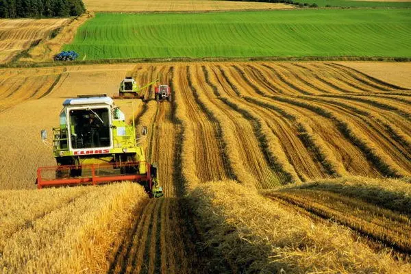 На Львівщині відкрили перший агрокооператив: що вирощуватимуть?