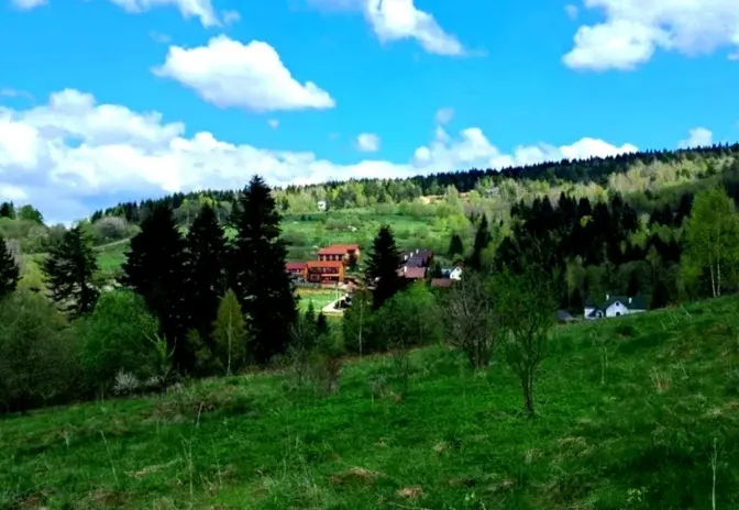 Фото умовне